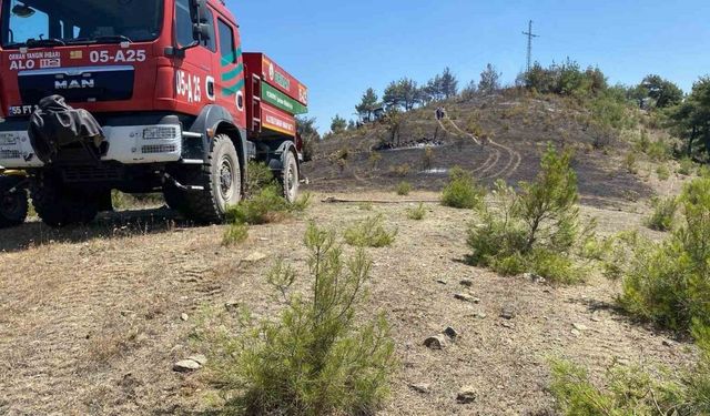 Samsun’da örtü yangını