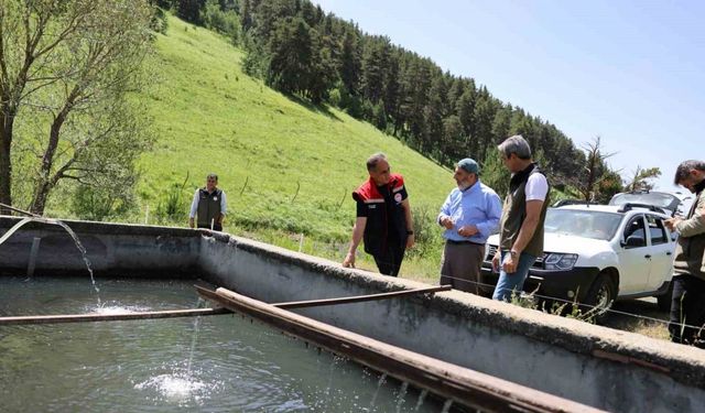 Sarıkamış’ta bir kişi alabalık yetiştiriciliği yapıyor