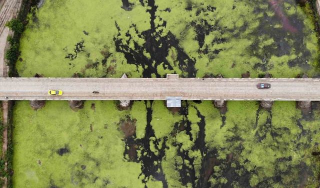 Su akışı durdu, Tunca Nehri yeşile döndü