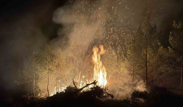 Vali Ergün yangın bölgesinde incelemelerde bulundu