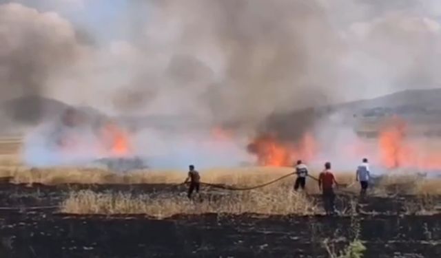 Van’da tarım arazisinde yangın