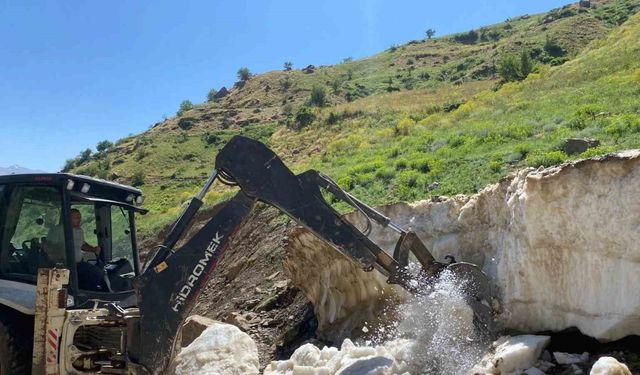 Van’da Temmuz sonunda karla mücadele