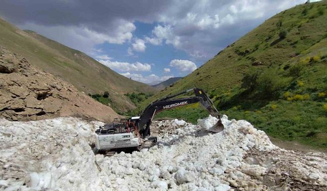 Van’da yaz ortasında karla mücadele