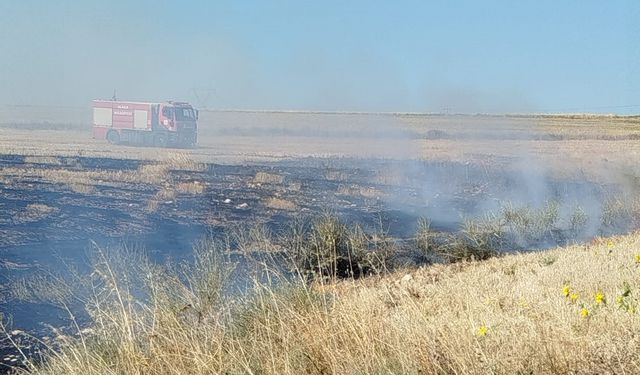 Alaca’da artan anız yangınları vatandaşları tedirgin ediyor