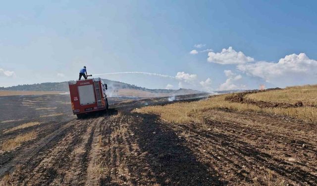 Anız yangını ormanlık alana sıçramadan söndürüldü