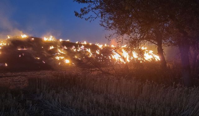 Anız yangınında 6 bin balya kül oldu, bahçeler zarar gördü