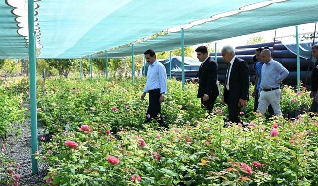 Başkan Taşkın: "Yeşil bir Battalgazi için üretiyoruz"