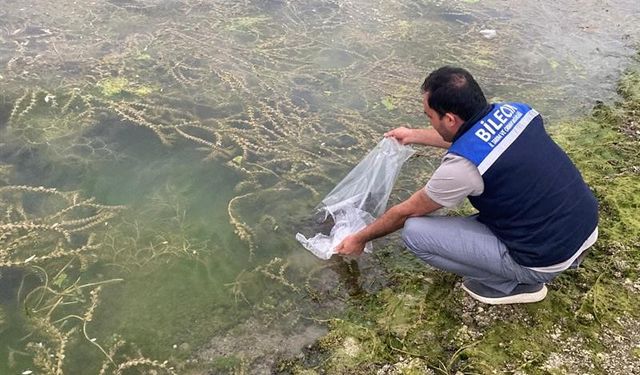 Bilecik’te 14 farklı göle 134 bin 500 adet sazan balığı yavrusu bırakıldı