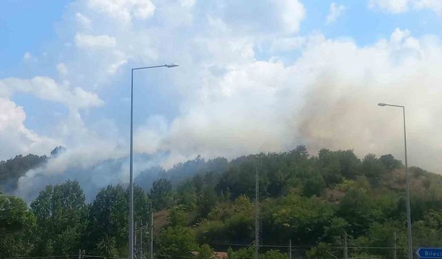 Bilecik’te çıkan otluk yangını kontrol altına alındı