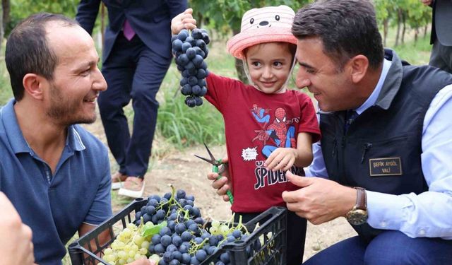 Bilecik’te üzüm hasadı başladı