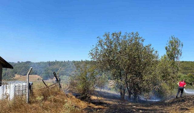 Bozüyük’te çıkan anız yangını büyümeden söndürüldü