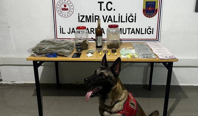 Çeşme’de jandarmadan zehir tacirine şafak operasyonu