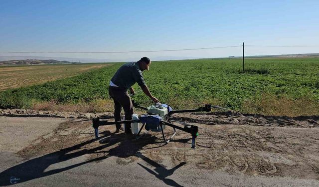 Çiftçiler kurtlanan fasulyeleri için dronla ilaçlama yapıyor