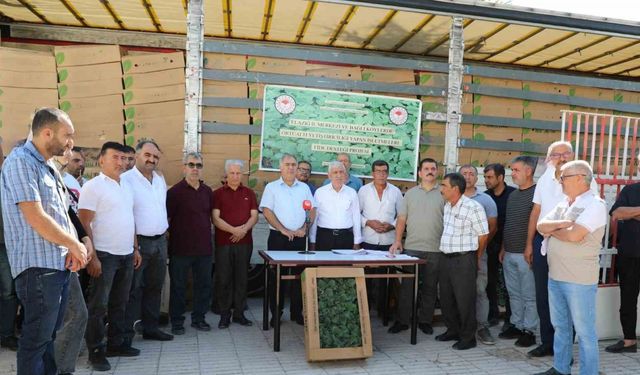 Elazığ’da 42 üreticiye fide dağıtıldı