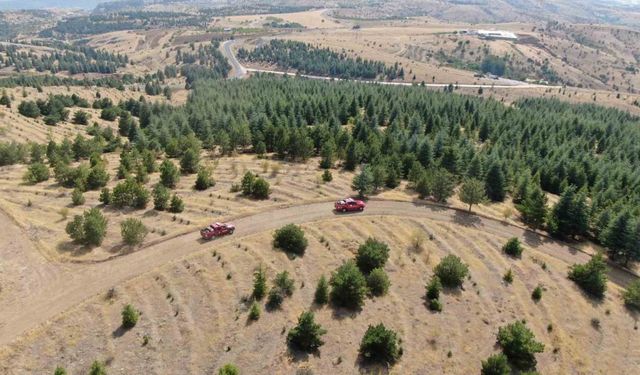 Elazığ’da orman ekipleri, havadan ve karadan denetimlerini sürdürüyor