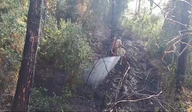 Hatay’da çıkan orman yangını kontrol altına alındı