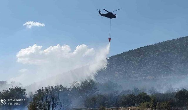 Isparta’da çıkan orman yangını ekiplerin hızlı müdahalesiyle söndürüldü