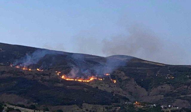 İtfaiye erleri yangından kurtardığı kaplumbağaya su verdi