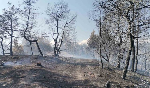 Kahramanmaraş’taki orman yangını büyük ölçüde kontrol altına alındı