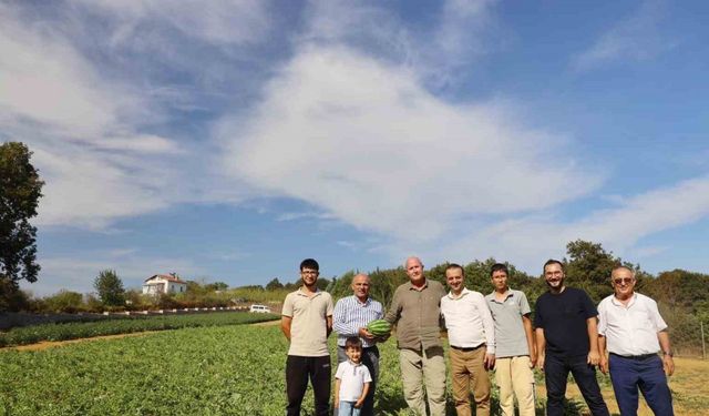 Kalburcu’da karpuz hasadı heyecanı