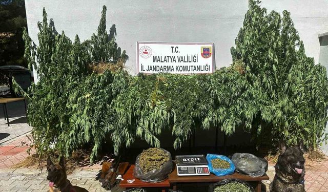 Malatya’da 11,5 kilogram kubar esrar ele geçirildi: 2 gözaltı