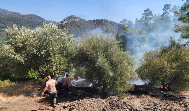 Marmaris’teki orman yangını büyümeden söndürüldü