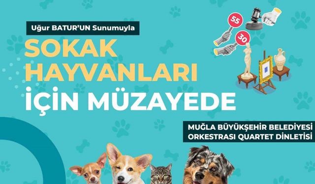 Muğla Büyükşehirden sokak hayvanları yararına müzayede