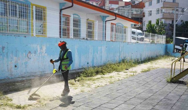 Okul bahçelerinde yabani ot temizliği