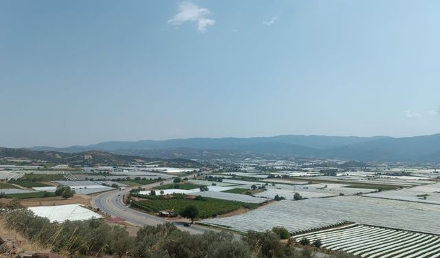 Sarıgöl ovası soğuk hava deposuna dönüştü