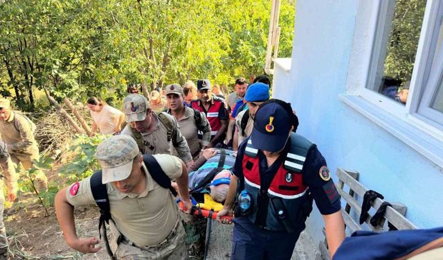 Sinop’ta kaybolan Alzheimer hastası vatandaş sağ bulundu