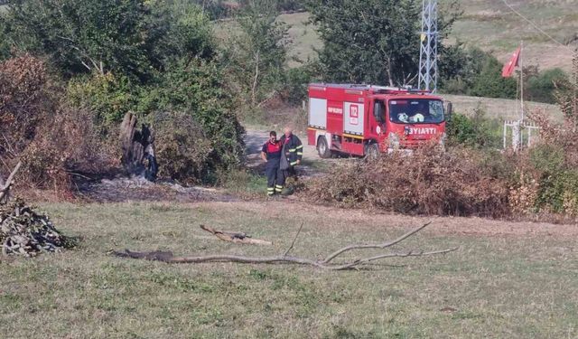 Sinop’ta otların yakılması paniğe neden oldu