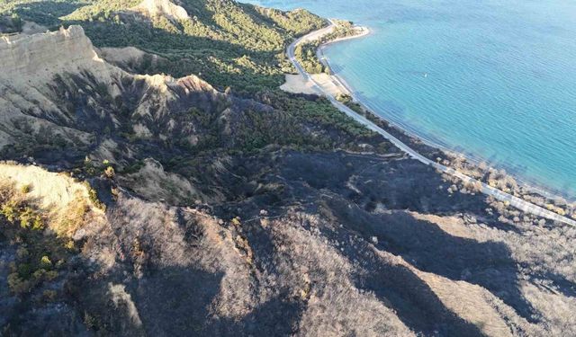 Tarihi Gelibolu Yarımadası’ndaki yangında alevlerden etkilenen Anzak Koyu dron ile görüntülendi