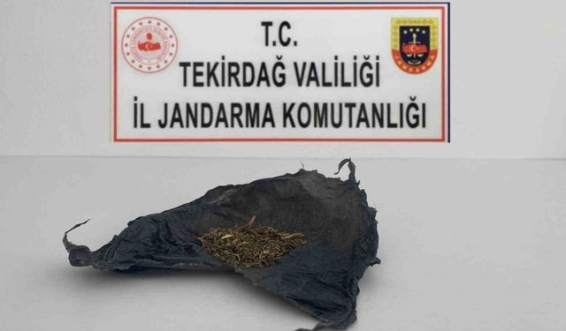 Tekirdağ’da uyuşturucu operasyonları: Bonzai ve esrar ele geçirildi