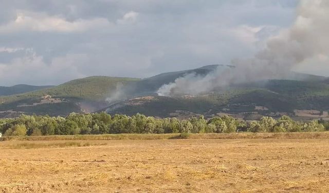 Tokat’ta 20 dönüm ormanlık alan kül oldu