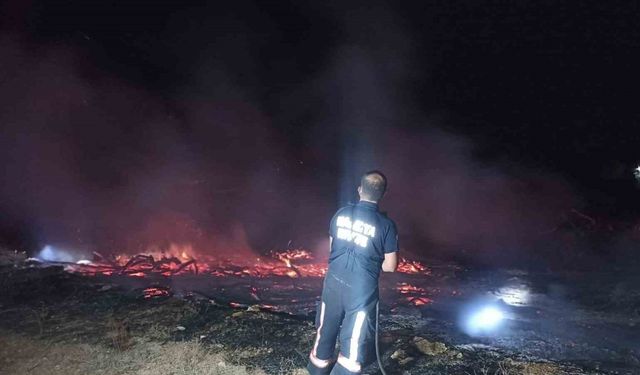 Tonlarca kayısı odunu yangında kül oldu