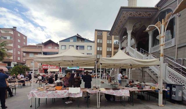 Türkeli’de sahipsiz hayvanlar için 51 bin lira toplandı