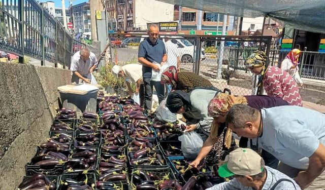 Üretim fazlası 5 ton patlıcanı yüzlerce kişiye bedava dağıttılar