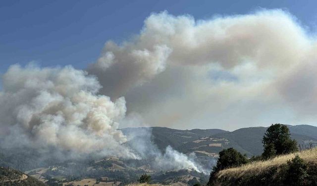 Uşak’ta otluk alanda çıkıp ormanlık alana sıçrayan yangına müdahale devam ediyor