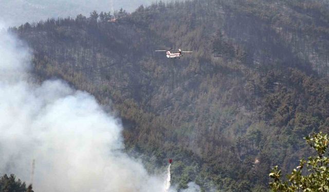 Uşak’taki orman yangınına müdahale sürüyor