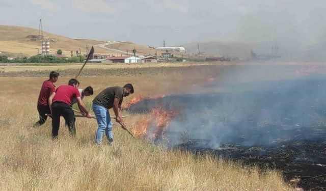 Van’da anız yangını korkuttu