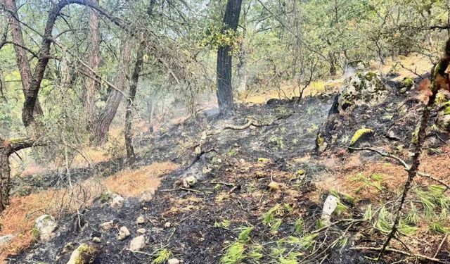 Yıldırım kaynaklı orman yangınına, havadan ve karadan müdahale