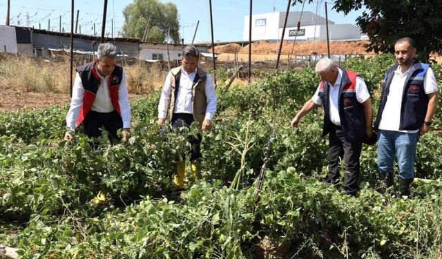 Zarar gören tarımsal alanlarda hasar tespit çalışmaları yapıldı