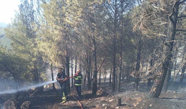 Antakya’da orman yangını