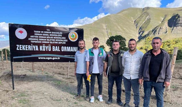 Artvin’de keşfedilen bal, köylünün yeni gelir kapısı oldu