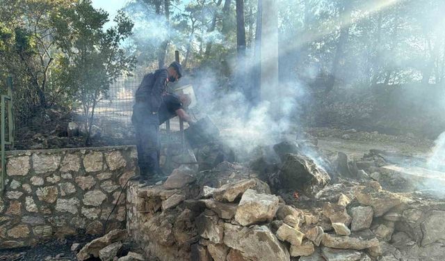 Asker ve itfaiye sahaya indi, yangının çıkış noktası ve sebebi araştırılıyor