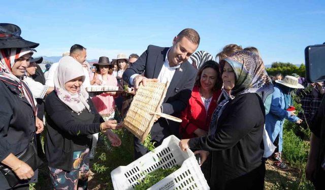 Başkan Akın, kadın çiftçilerin yanında