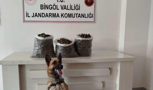 Bingöl’de 4,5 kilo esrar ele geçirildi