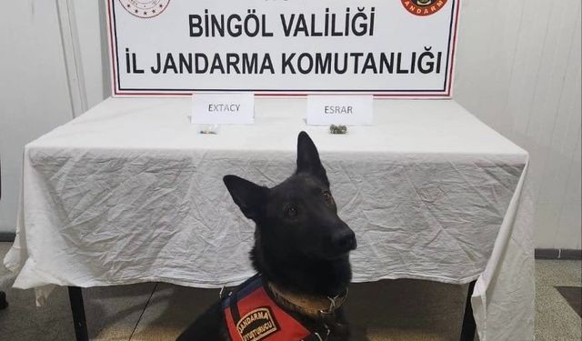 Bingöl’de jandarma ekipler suçlulara göz açtırmıyor