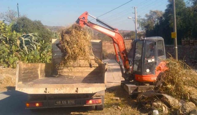 Bodrum’un derelerinde kış temizliği