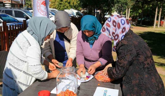 Çameli’nde kadınlara doğal yollarla ‘alıç sirkesi’ yapımı eğitimi